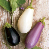 Eggplant Mixed Varieties