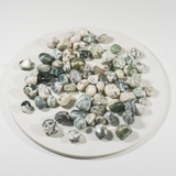 Tree Agate Tumbled Stones | Healing Crystals | Reiki: 250Grams