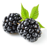 Blackberries-non organic