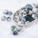 Tree Agate Tumbled Stones | Healing Crystals | Reiki: 250Grams