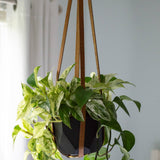 Leather Plant Hanger: Black