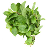 Fresh NJ Mint Bunches