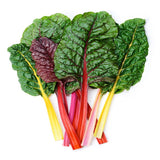 Rainbow Swiss Chard