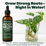 Root Drops – Plant Propagation & Transplant Booster