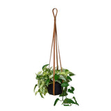 Leather Plant Hanger: Black