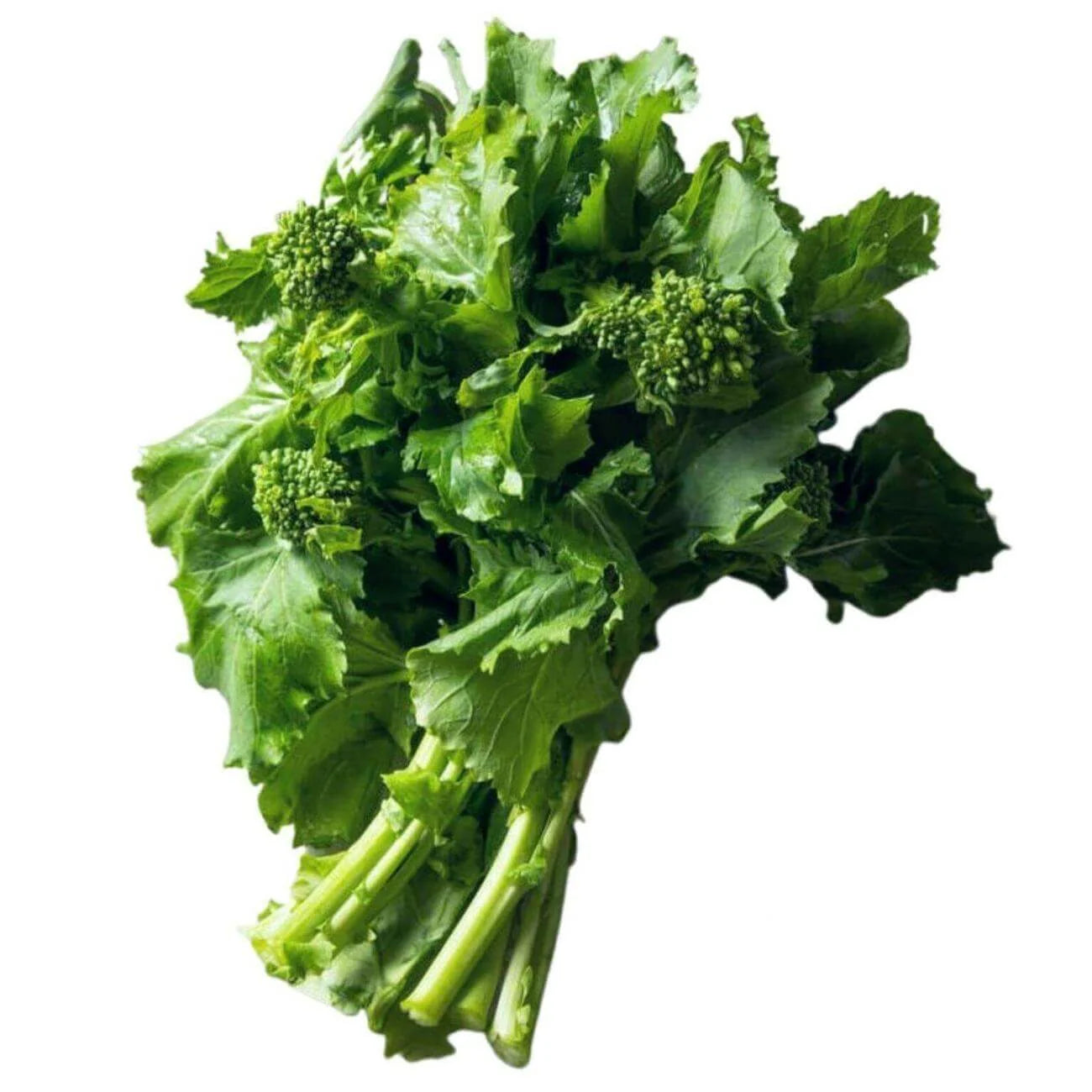 Broccoli Rabe