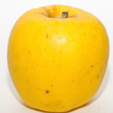 Opal Organic Apple