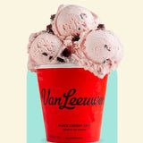 Van Leeuwen Black Cherry Chip