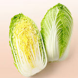 Napa cabbage