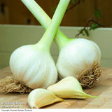 NJ Garlic Bundle