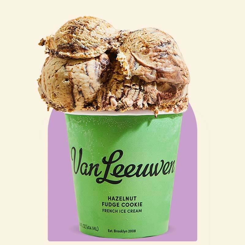 Van Leeuwen Classic Hazelnut Fudge Cookie Ice Cream