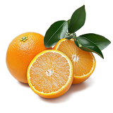 Navel Oranges