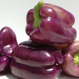 NJ Purple Bell Peppers