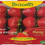 Driscoll's Plenty Sweet Strawberries