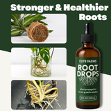 Root Drops – Plant Propagation & Transplant Booster