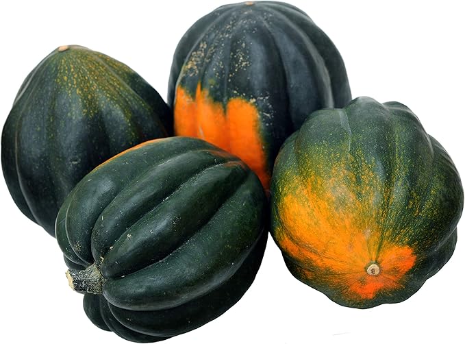 Acorn Squash