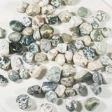 Tree Agate Tumbled Stones | Healing Crystals | Reiki: 250Grams