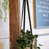 Leather Plant Hanger: Black