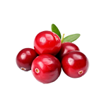 Fresh Cranberries