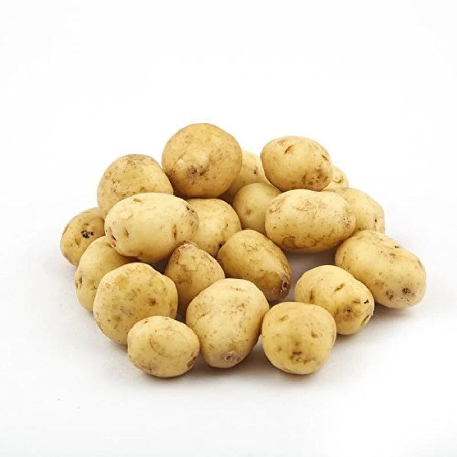 Baby Yukon Gold Bags