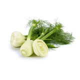Fennel