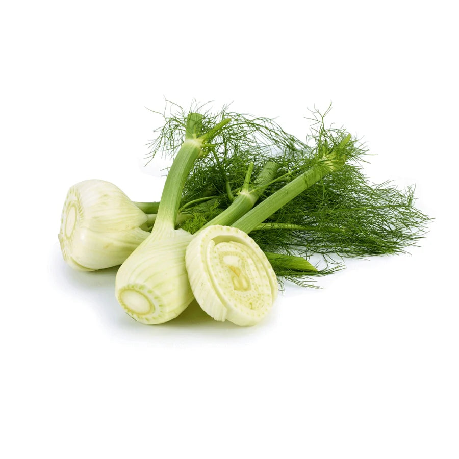 Fennel