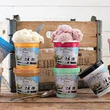 Arethusa Farm Dairy Coconut Dark Chocolate Chunk Ice Cream