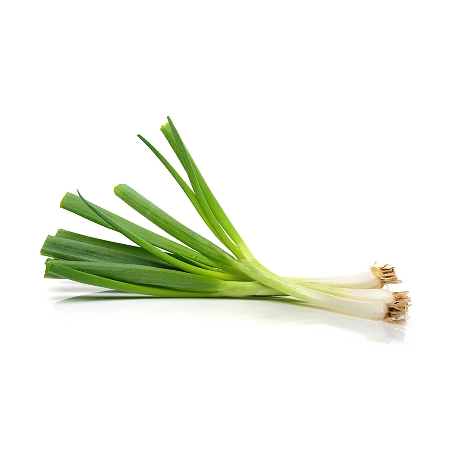 Scallions/ Green Onions
