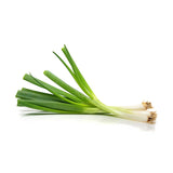 Scallions/ Green Onions