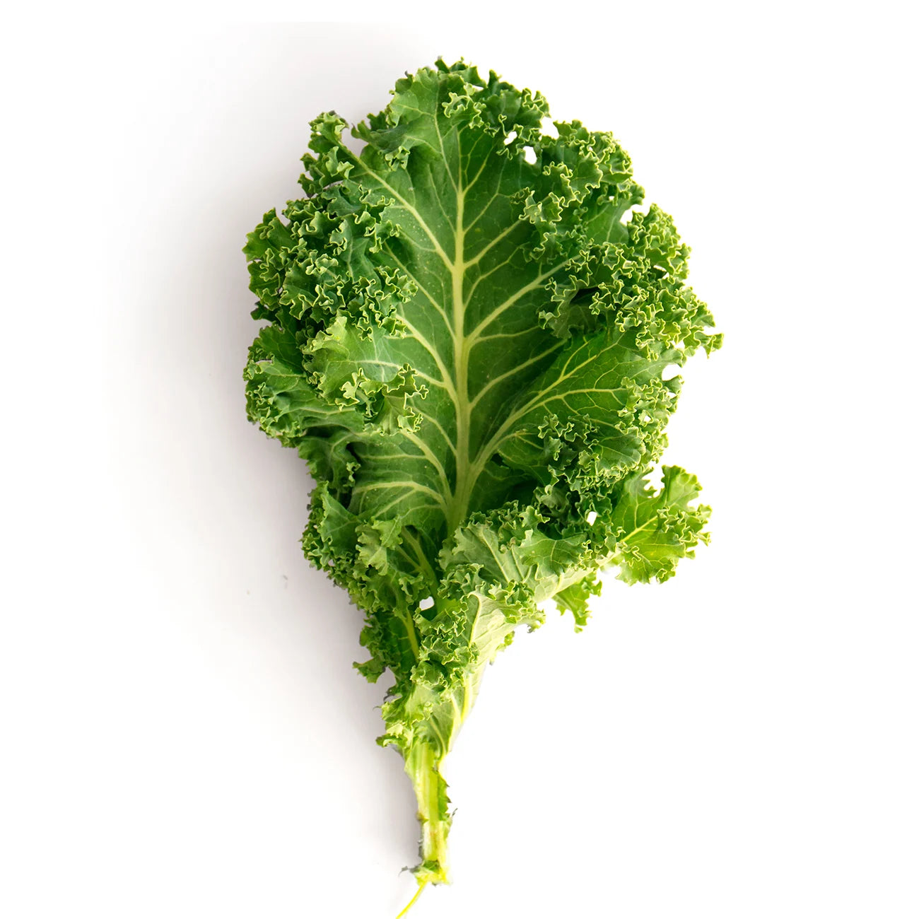 Kale Bunched