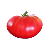 NJ Tomatoes