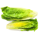 Fresh Romaine