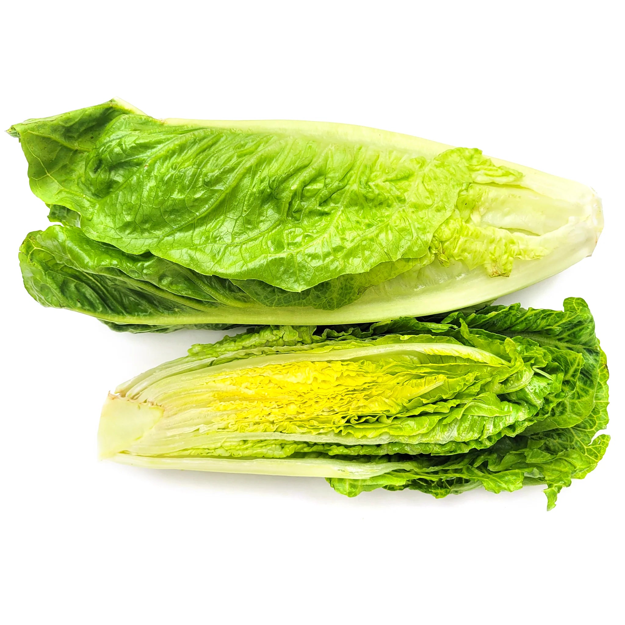 Fresh Romaine