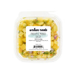 Urban Roots Pineapple Mango Salsa